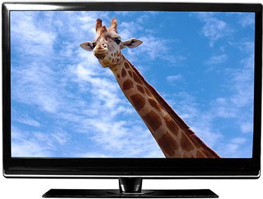 LED телевизор ба LCD телевизийн хооронд ямар ялгаа байдаг вэ?